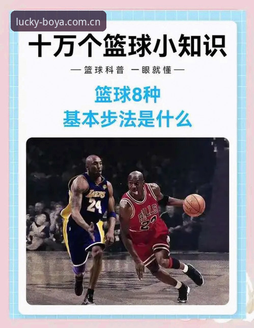 博亚体育平台看数据实用技巧：从新手到达人的关键一步